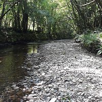 Loddiswell and the Middle Avon Valley