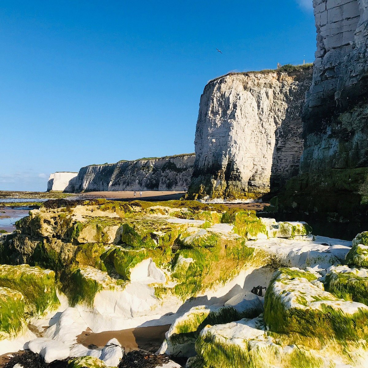 Botany Bay Australia.