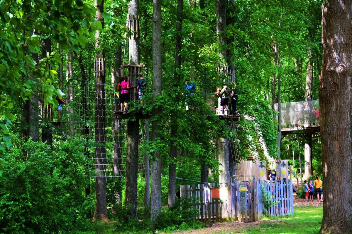 Escape to Lums Pond: Your Delaware Oasis Awaits