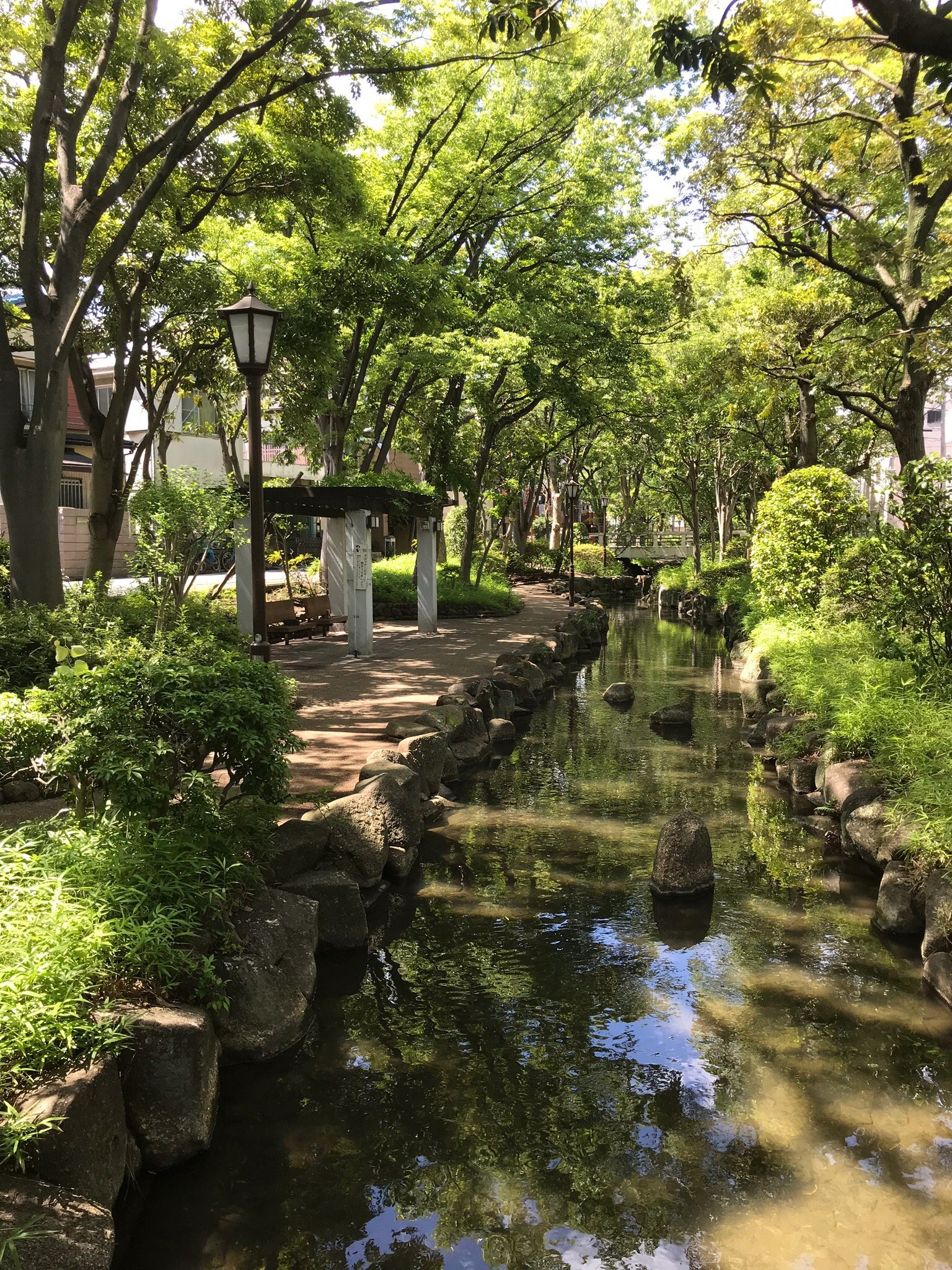 【最安値挑戦】 2025年 小松川境川親水公園 - 出発前に知っておくべきことすべて 果物
