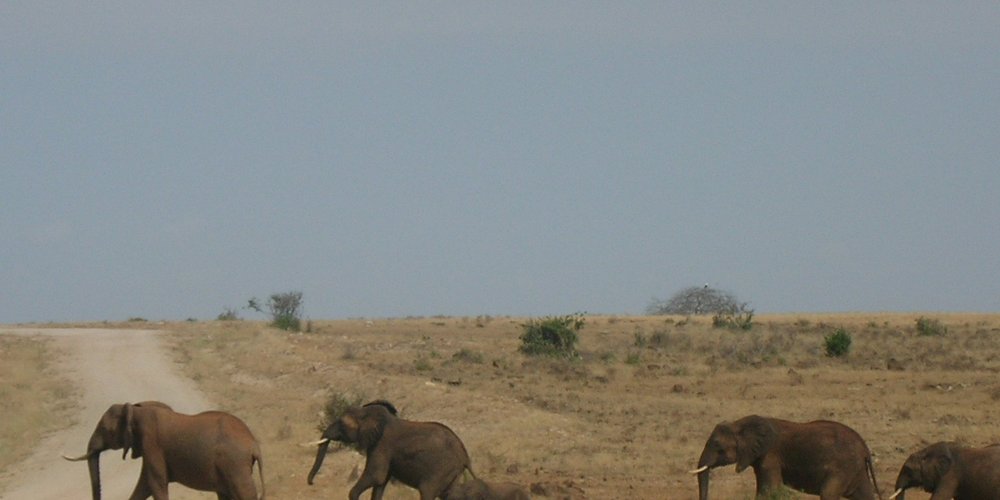 Coast Province, Kenia Tourismus in Coast Province Tripadvisor