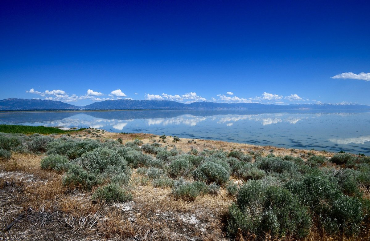 Antelope Island State Park - All You Need to Know BEFORE You Go (2024)