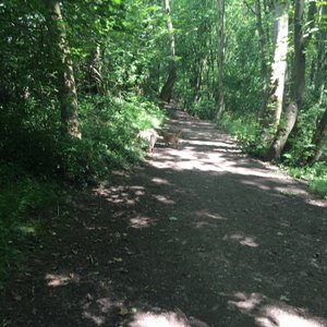 HOLMEBROOK VALLEY PARK (Chesterfield) - All You Need to Know BEFORE You Go