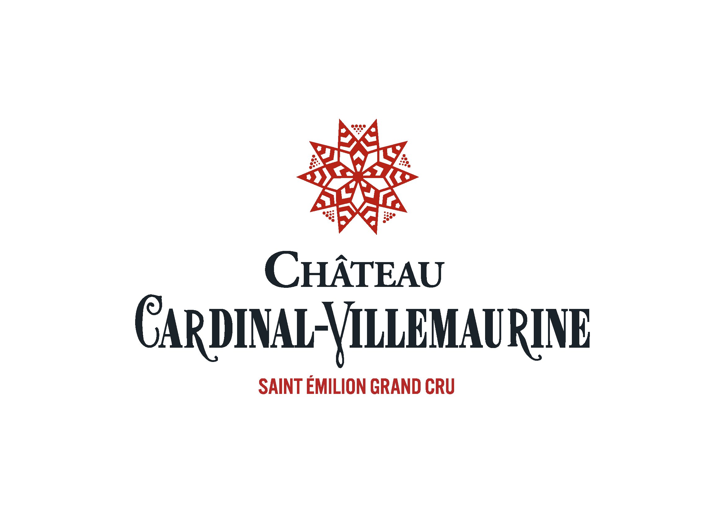 Château Cardinal-Villemaurine - What to Know BEFORE You Go