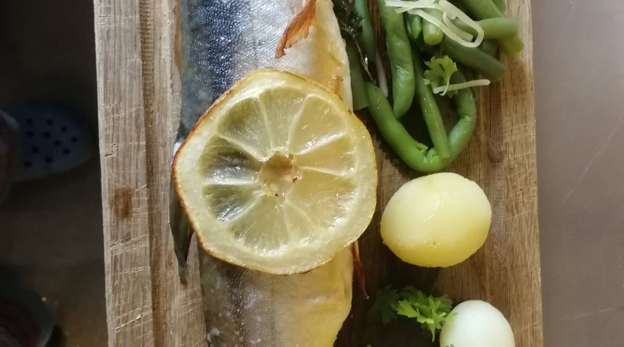 Röding fiskat i lule älven 