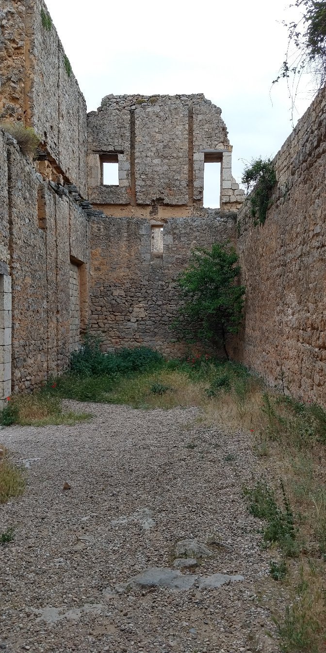 Imagen 7 de Castillo de Gormaz