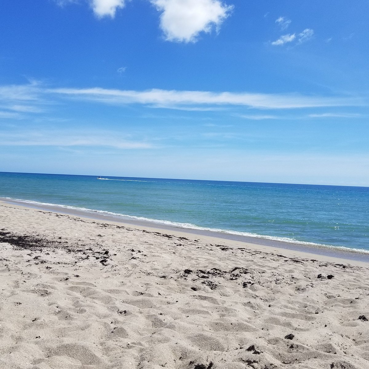Nudist Spy Cam Porn - Blind Creek Beach (Fort Pierce) - All You Need to Know BEFORE You Go
