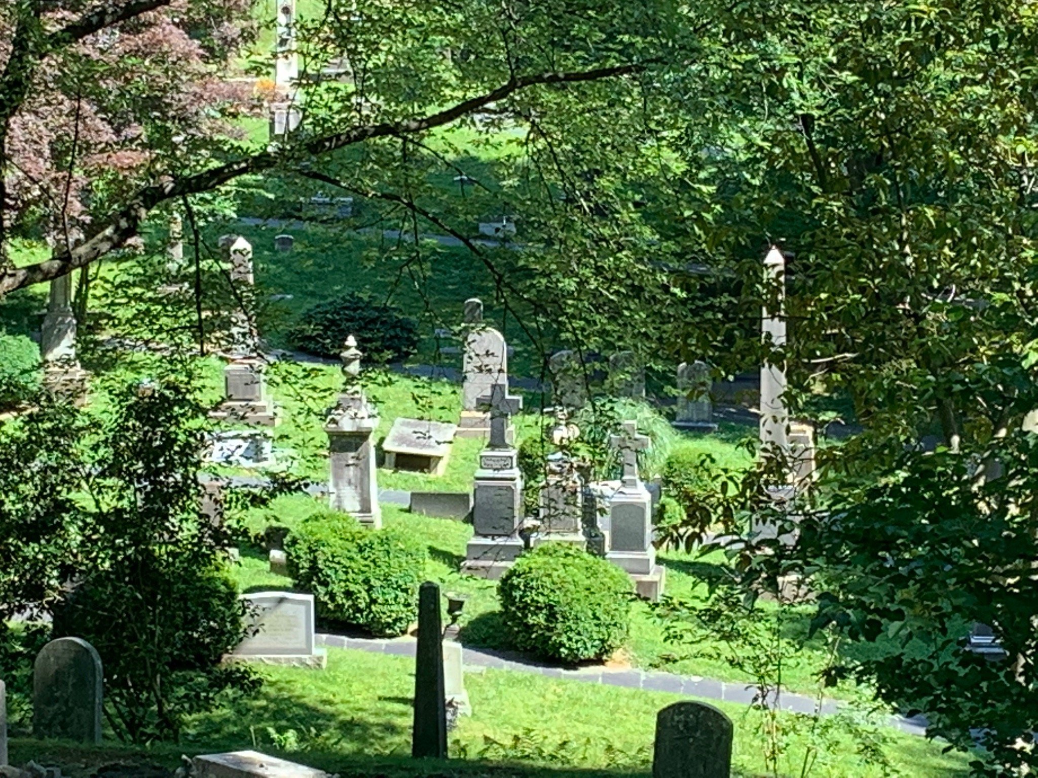 THE 15 BEST Things To Do In Washington DC 2024   Oak Hill Cemetery 