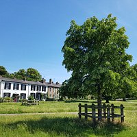 Midsummer Common, July 2019