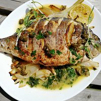 Mediterranean Sea Bream marinated caramelized fennel, buyer caper reduction