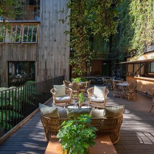 At the heart of The Mandrake we have the AWARD-winning Jurema, designed by world renowned landscape architects Bureau Bas Smets.  Jurema won Best Outdoor Space at the Global AHEAD Awards in 2019.  Welcome to a laid-back cabana affair surrounded by a lush, evergreen sanctuary of hanging passion flower and jasmine plants with a wooden shack-style bar and feel-good summer-time cocktails.  

Jurema bar is on the first-floor terrace serving bespoke cocktails and features a bar menu from YOPO.