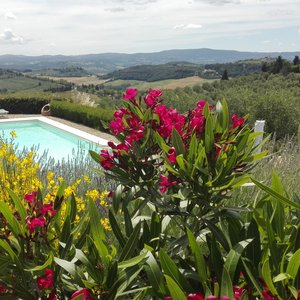 Panoramic Pool