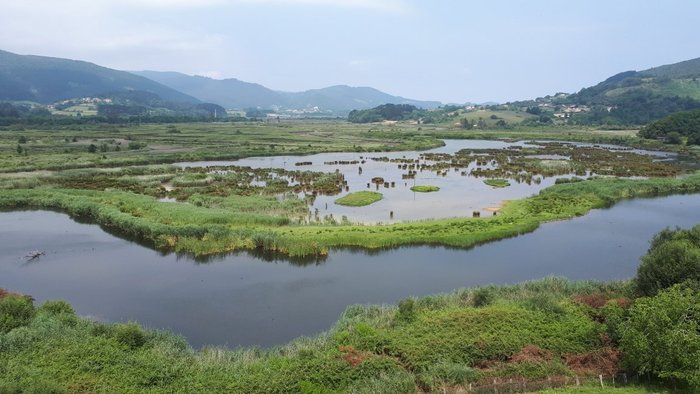 Imagen 1 de Urdaibai Bird Center