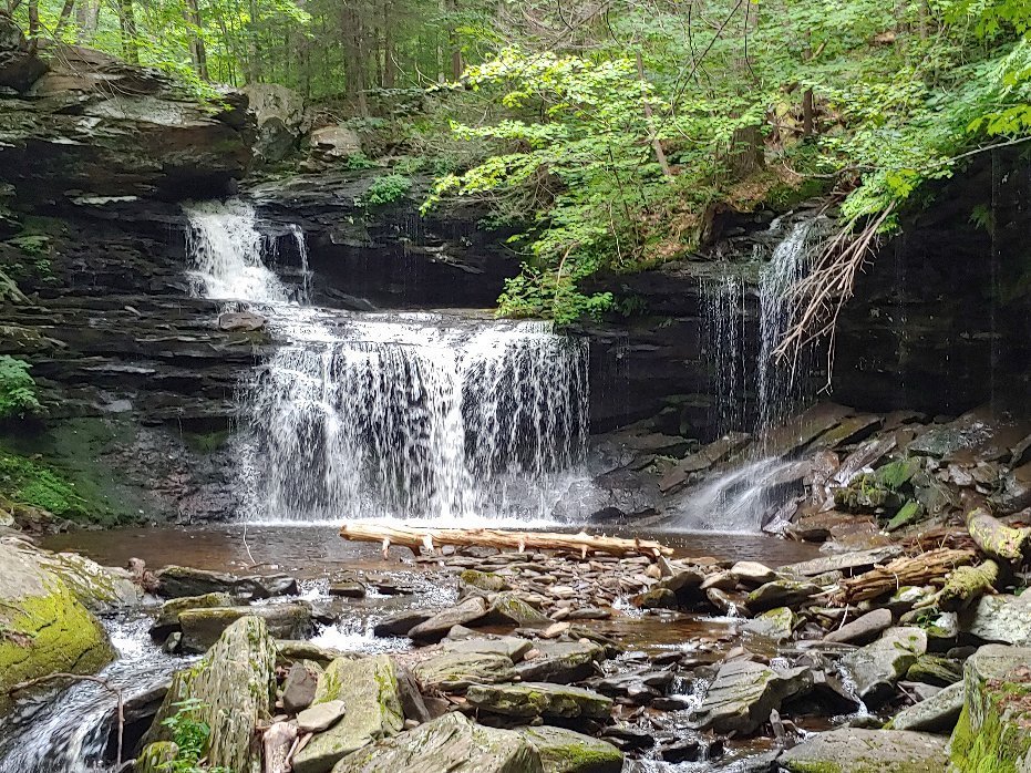 Водопад отзывы. Парк Риккетс Глен. Ricketts Glen Park.