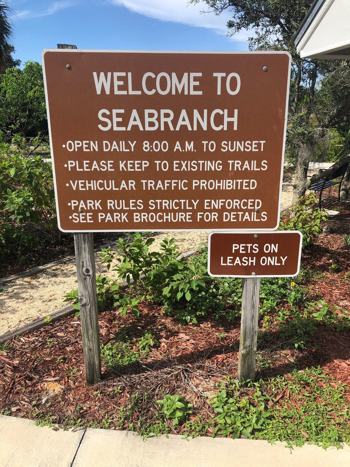 Escape to Serenity: Seabranch Preserve State Park, Your Florida Oasis