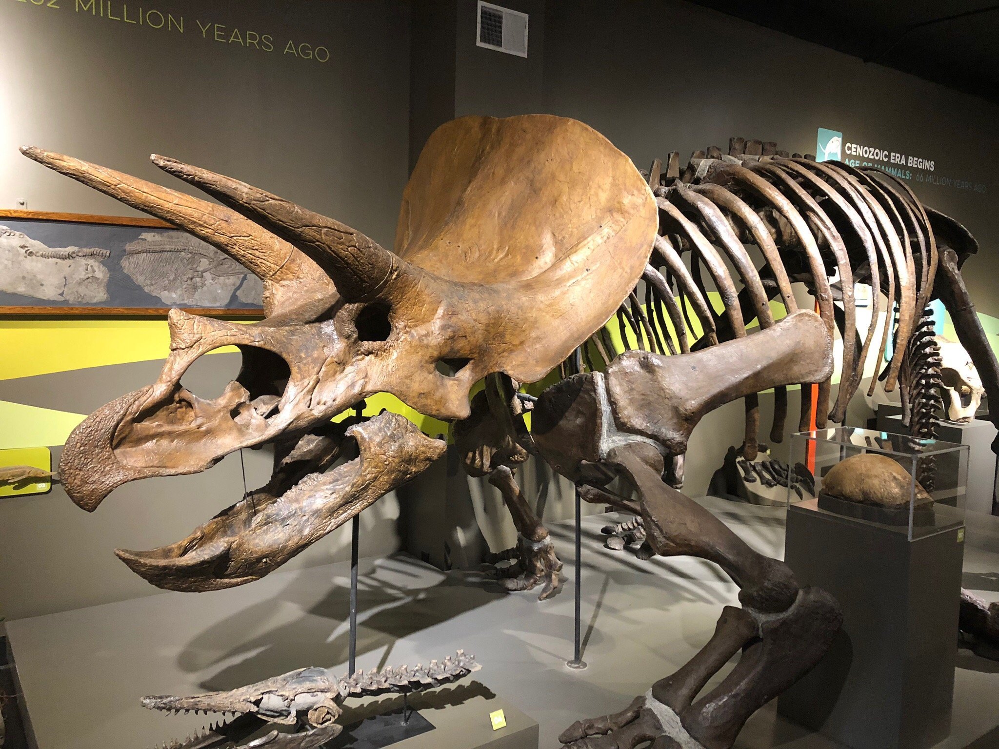 BUFFALO MUSEUM OF SCIENCE - All You Need To Know BEFORE You Go