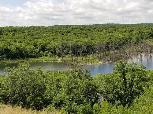 Hidden in Plain Sight  North Dakota Game and Fish