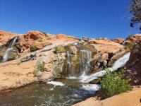 are dogs allowed at gunlock state park