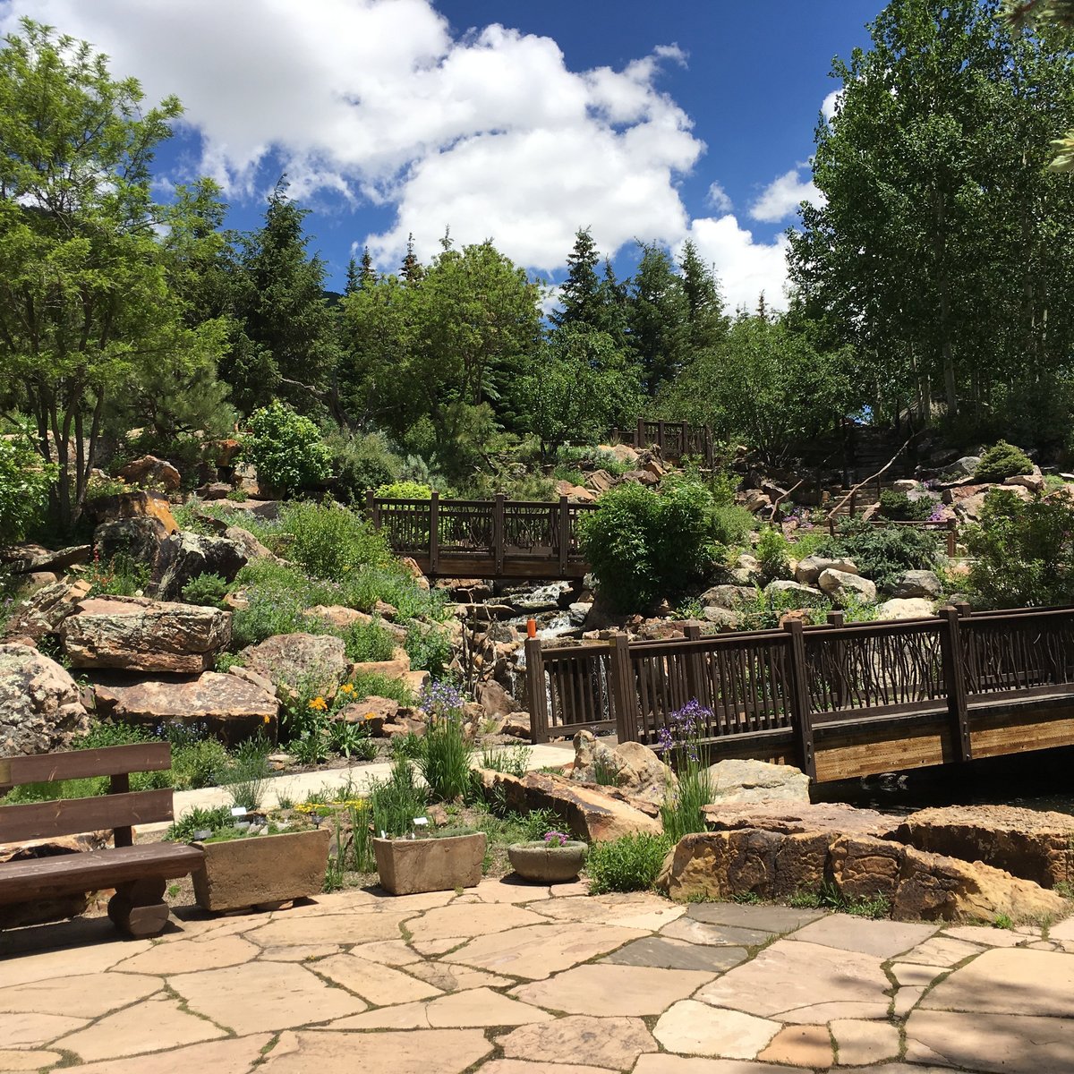 Betty Ford Alpine Gardens, Вейл: лучшие советы перед посещением -  Tripadvisor