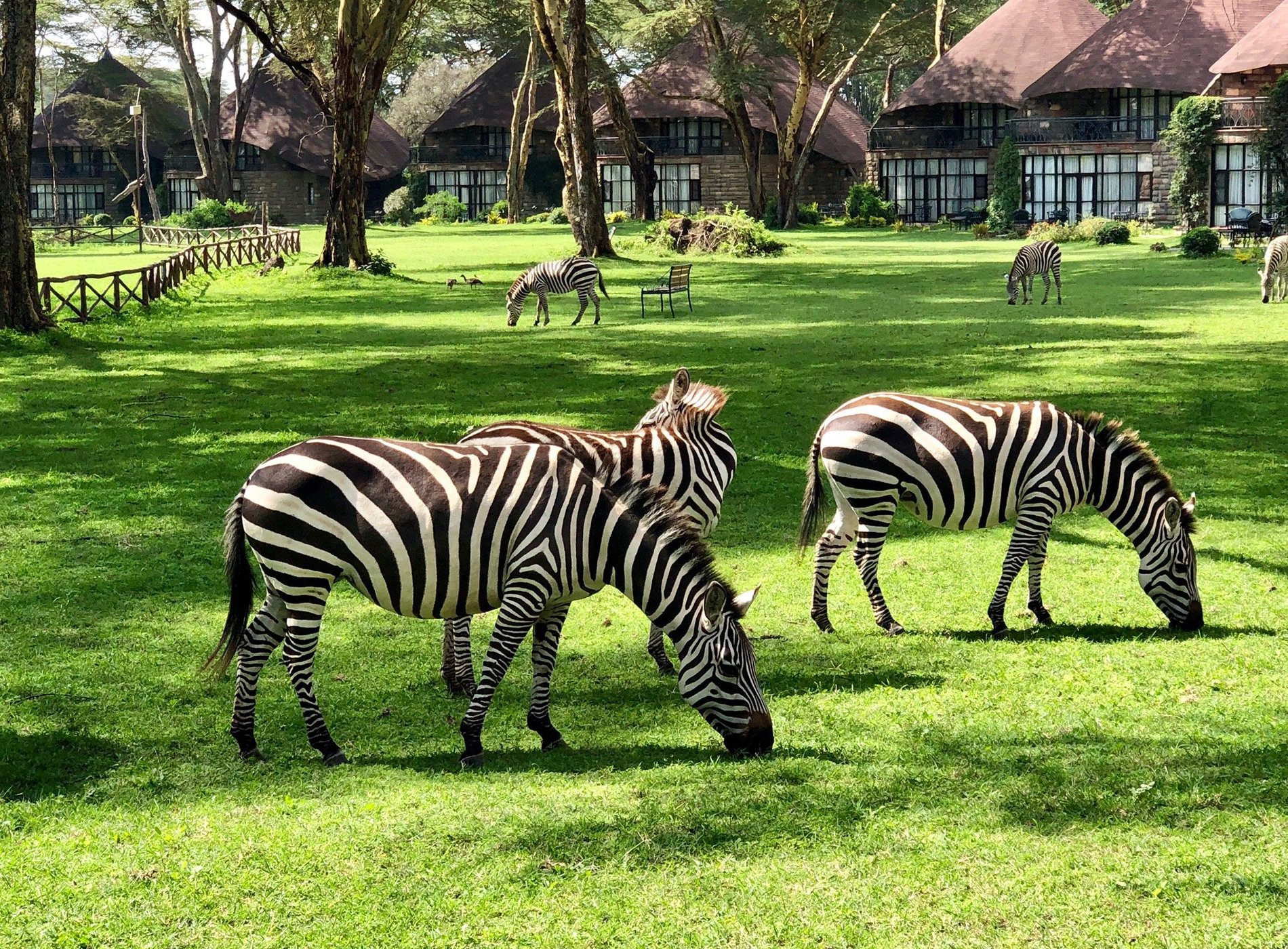 Lake Naivasha Sopa Resort by null