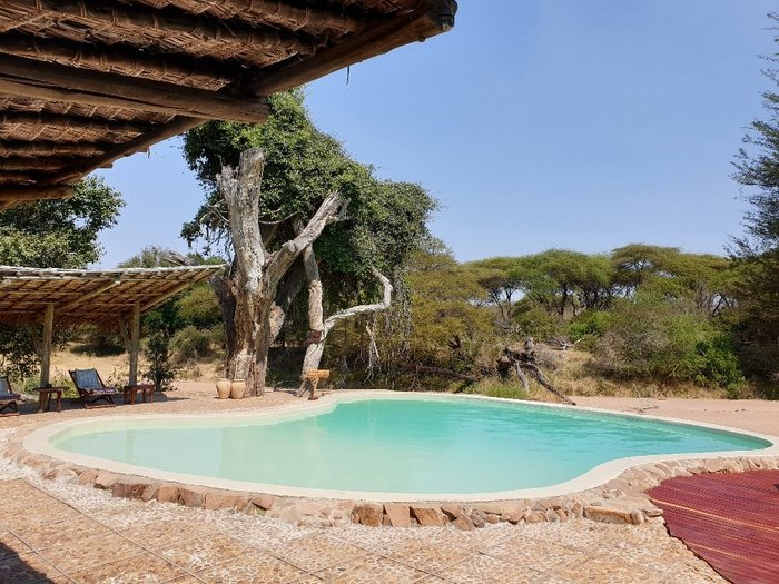 JONGOMERO - Updated 2023 Lodge Reviews (Ruaha National Park, Tanzania)