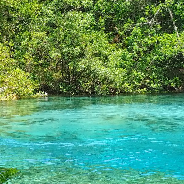 ICHETUCKNEE SPRING STATE PARK - Qué SABER antes de ir