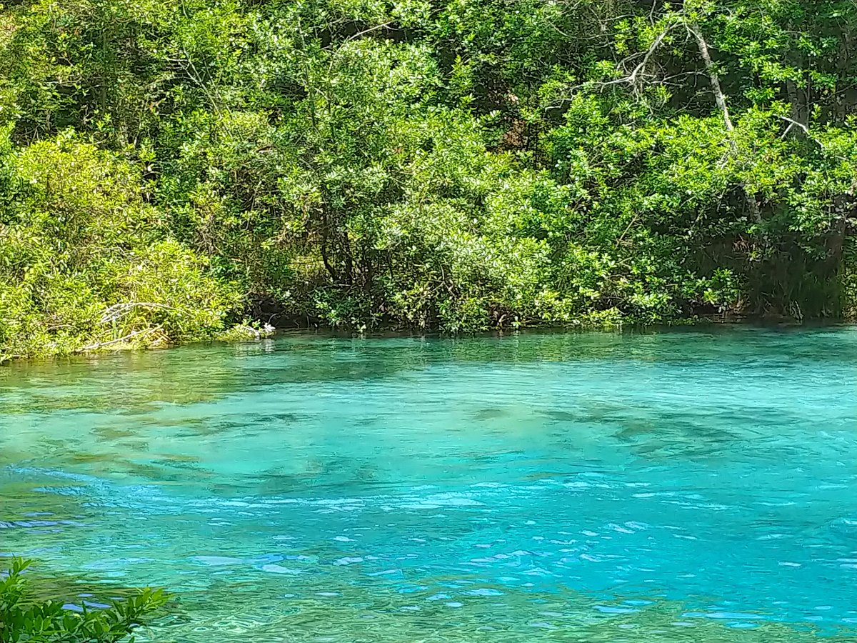 Ichetucknee Springs State Park All You Need to Know BEFORE You Go (2024)