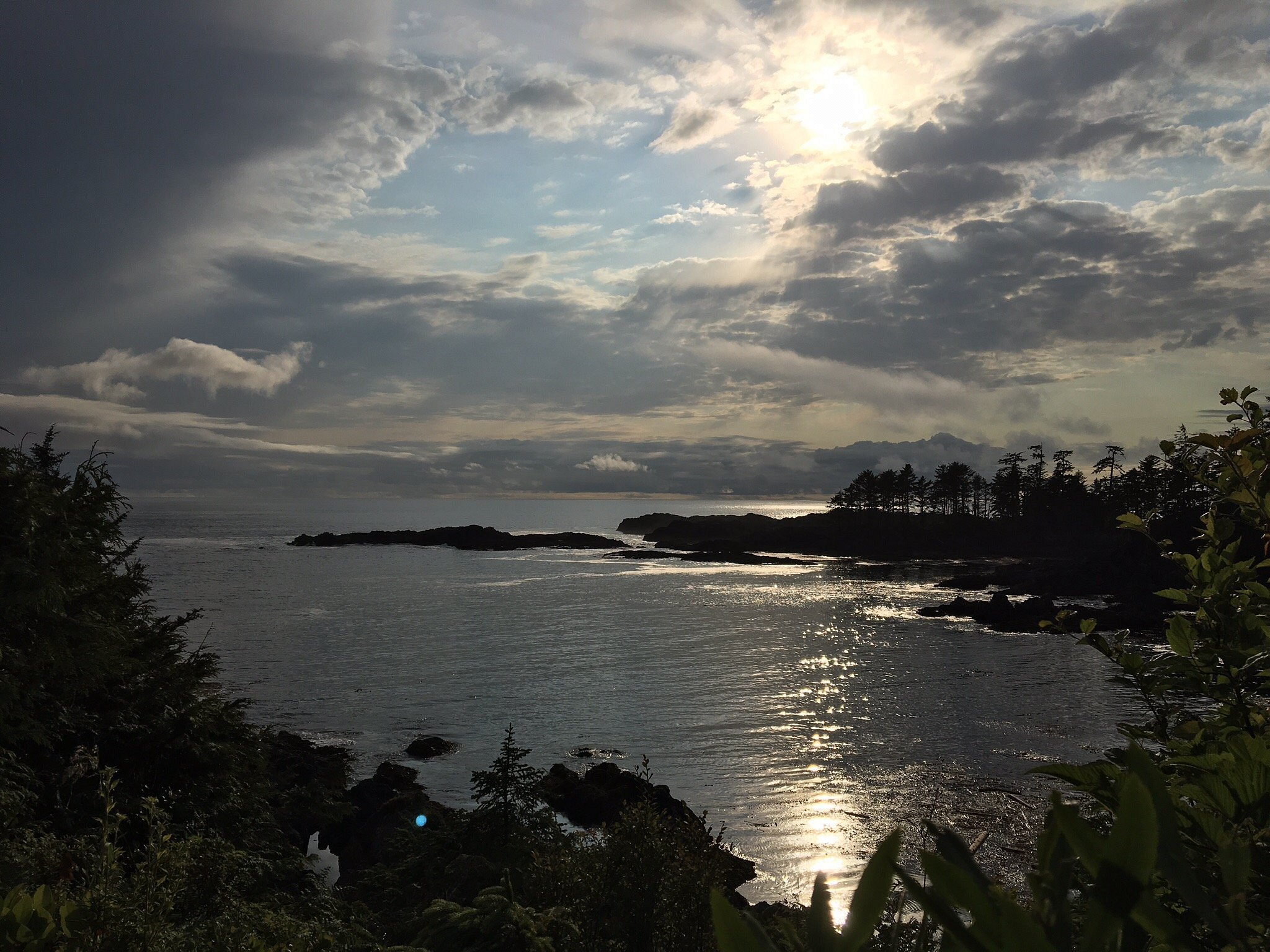 Wat te doen in Ucluelet: de 10 beste activiteiten - Tripadvisor