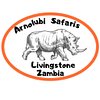 Arnolubi safaris