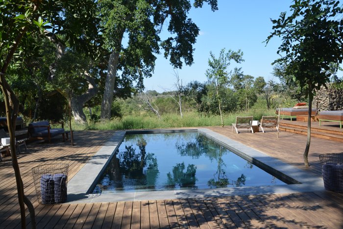 Lion Sands River Lodge Pool: Pictures & Reviews - Tripadvisor