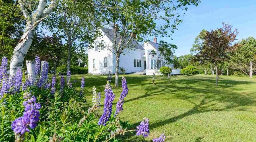 getlstd_property_photo
