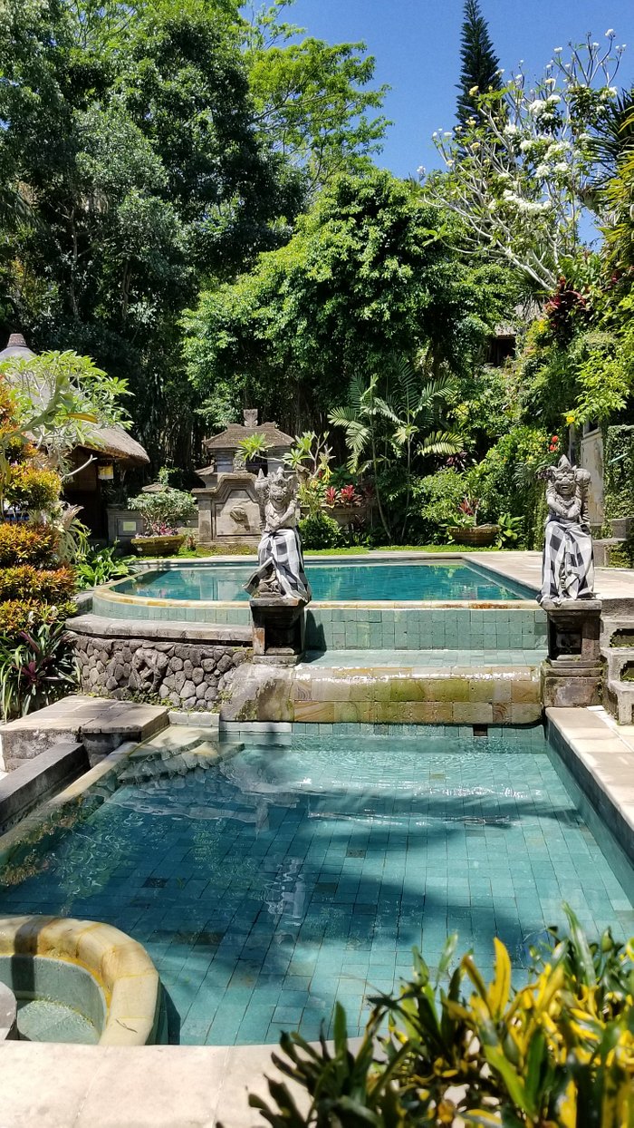 Fotos y opiniones de la piscina del Alam Indah Ubud Tripadvisor