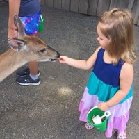 FAWN DOE ROSA Wildlife Educational Park - All You Need to Know BEFORE ...