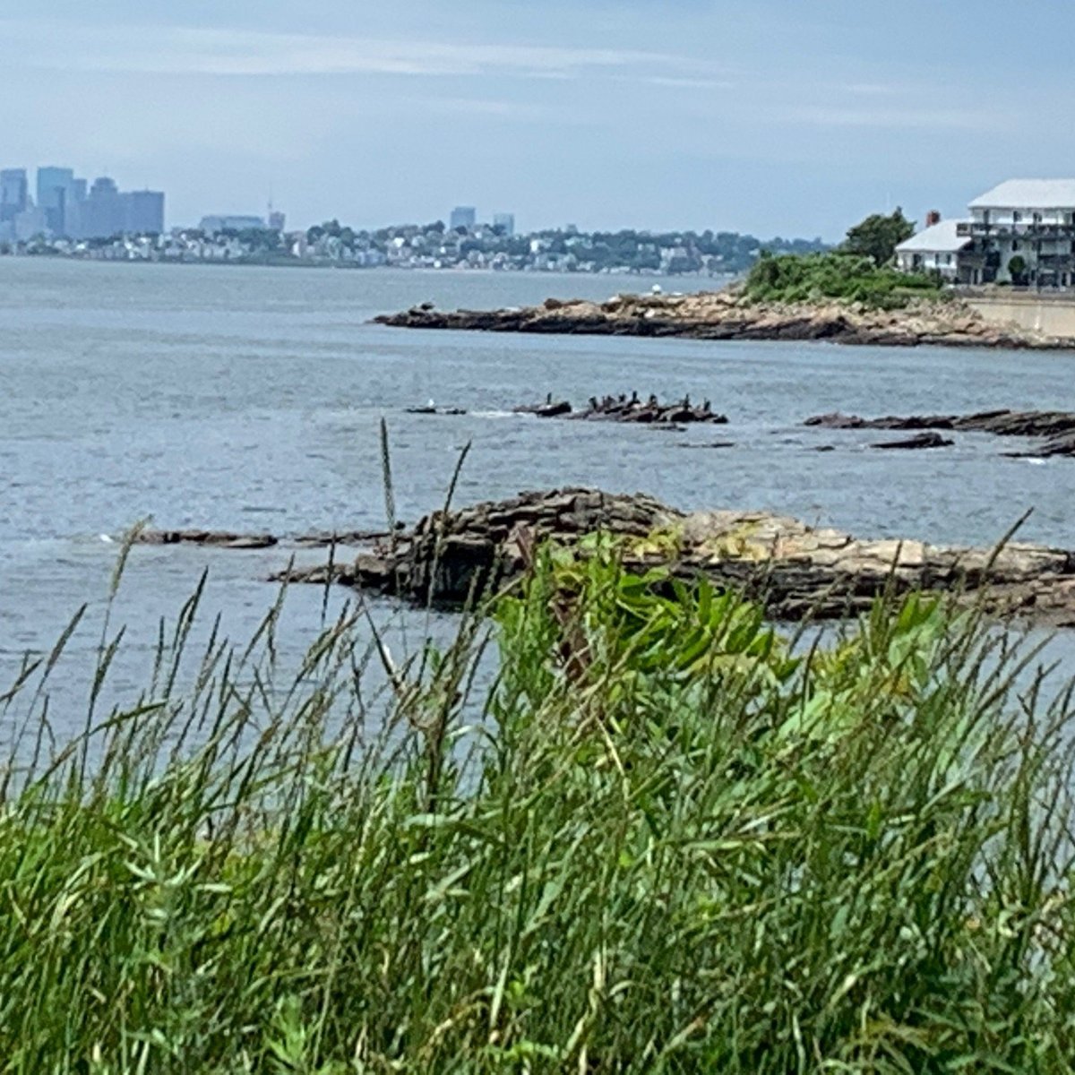 NAHANT BEACH All You Need to Know BEFORE You Go