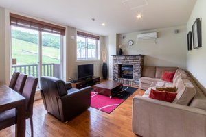Room & Suite