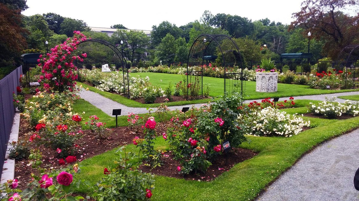 James P Kelleher Rose Garden - All You Need to Know BEFORE You Go