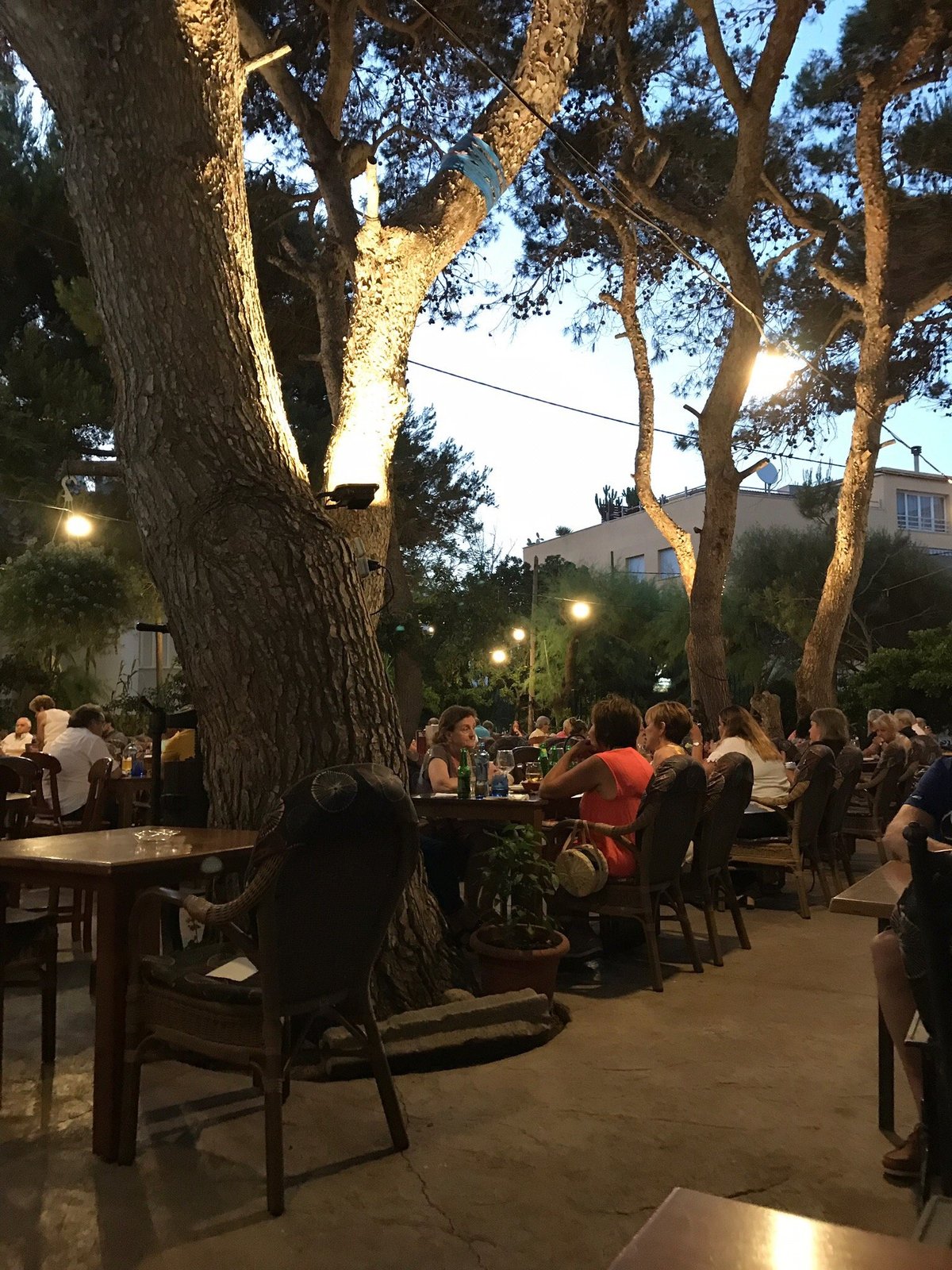 THE 10 BEST Restaurants in Ca