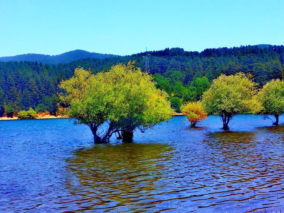 Cecità – LAC shop