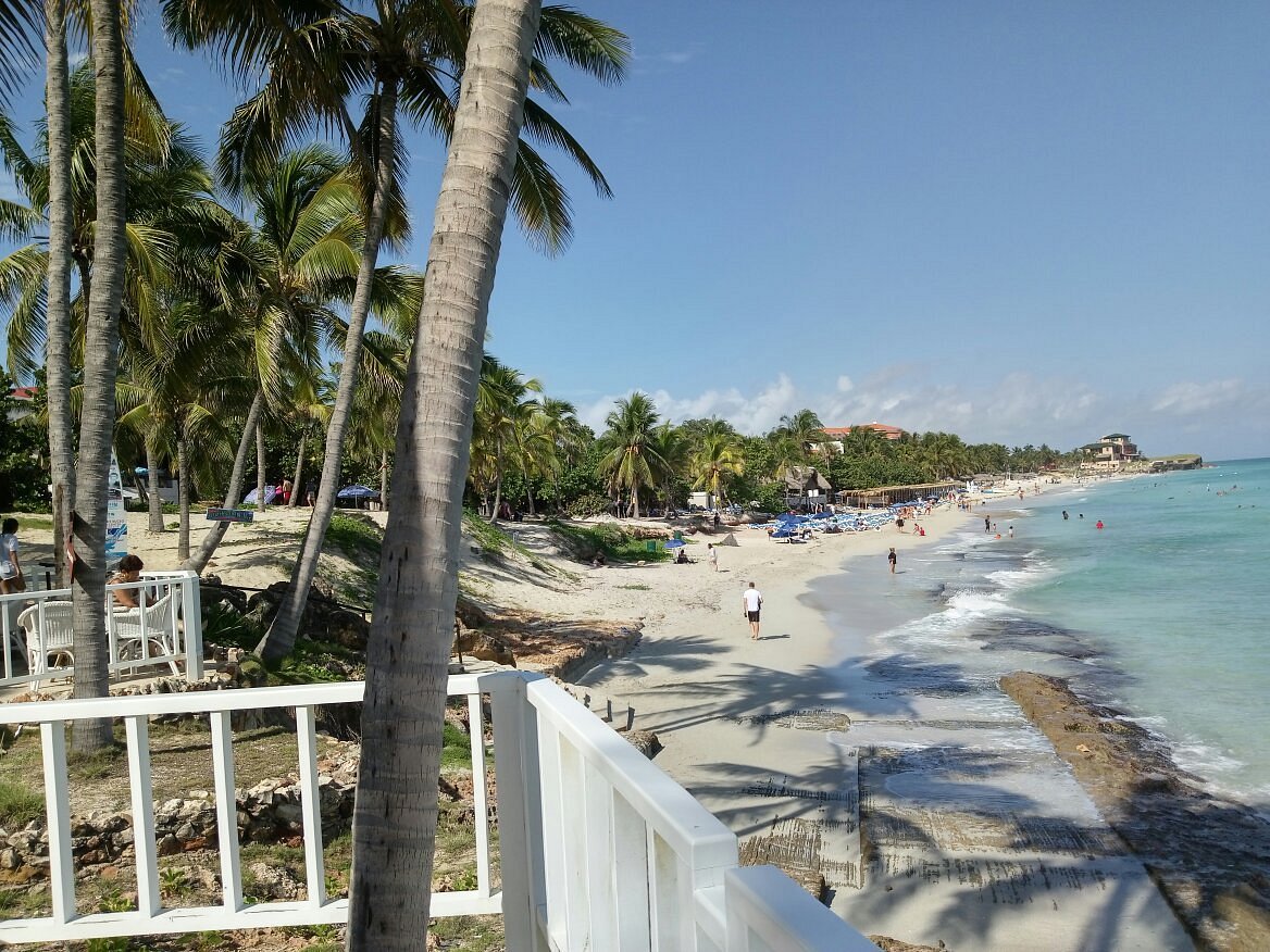 Hotel Meliá Varadero - Cuba - Foro Caribe: Cuba, Jamaica
