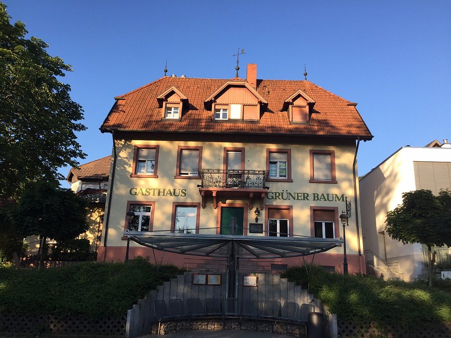 HOTEL GRÜNER BAUM Bewertungen, Fotos & Preisvergleich