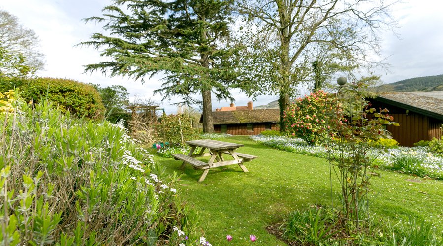 Woodcombe Lodges Picnic bench and children's swings