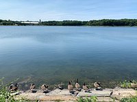 ᐅ Chestnut Hill Reservoir fishing reports🎣• Brookline, MA