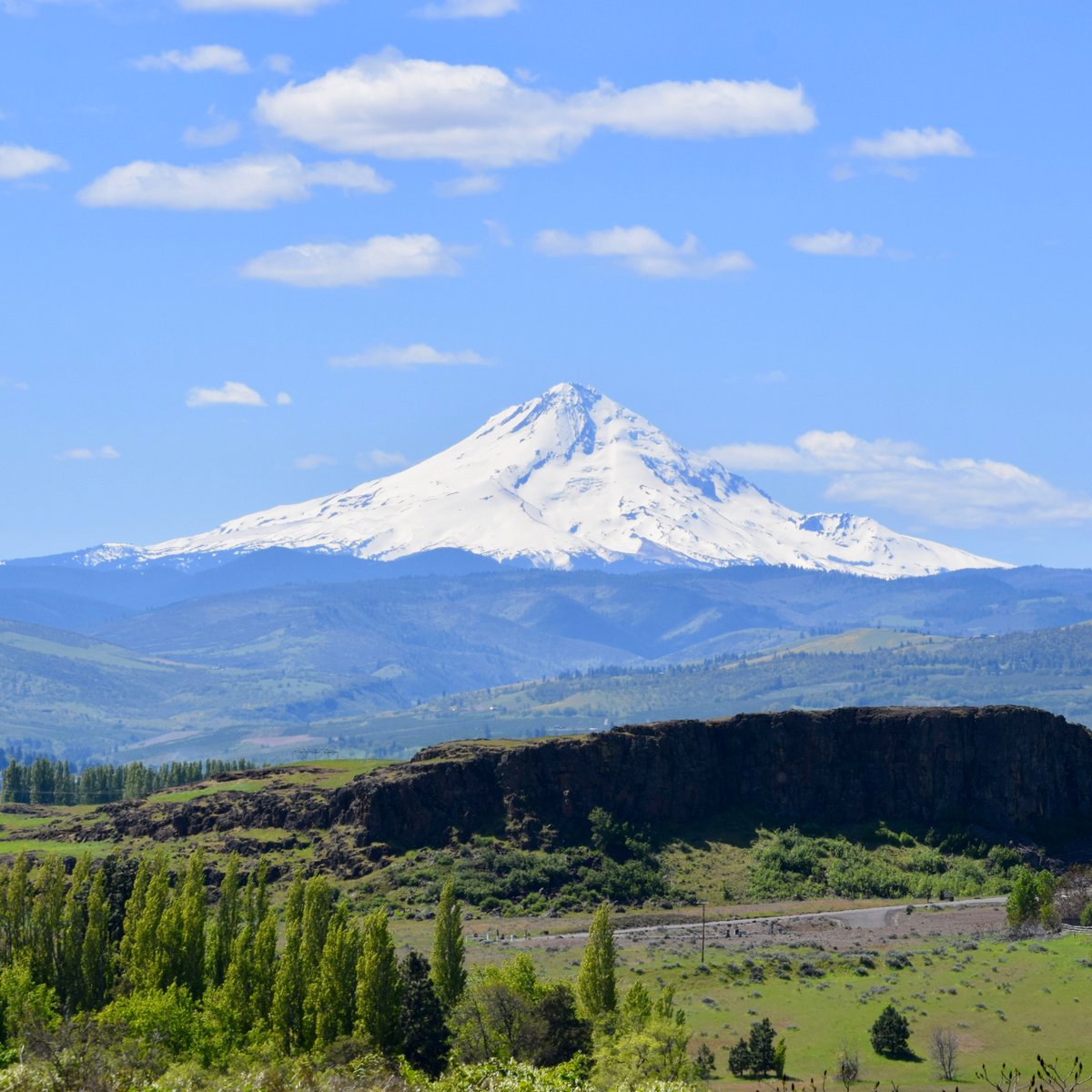 Columbia Hills Historical State Park