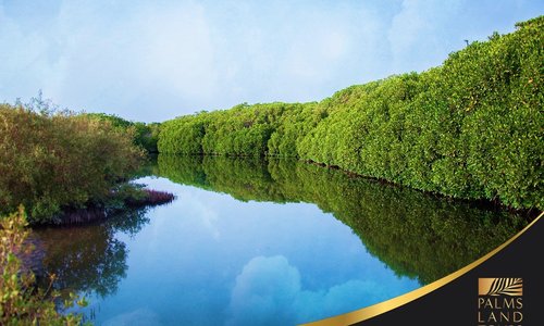 Farasan is miles away from the images of sand dunes one would think of when mentioning the typical landscape of the Kingdom of Saudi Arabia.