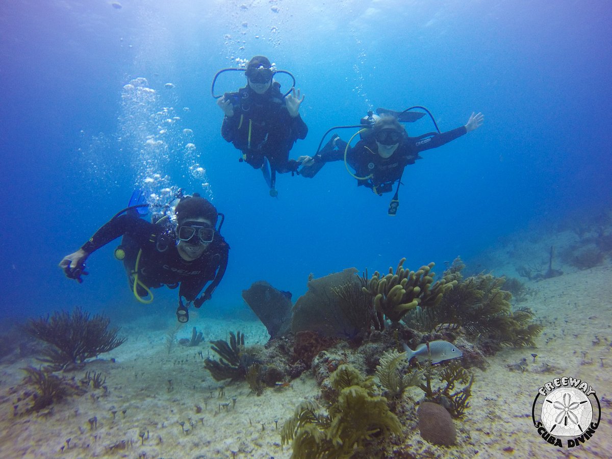 free diving playa del carmen