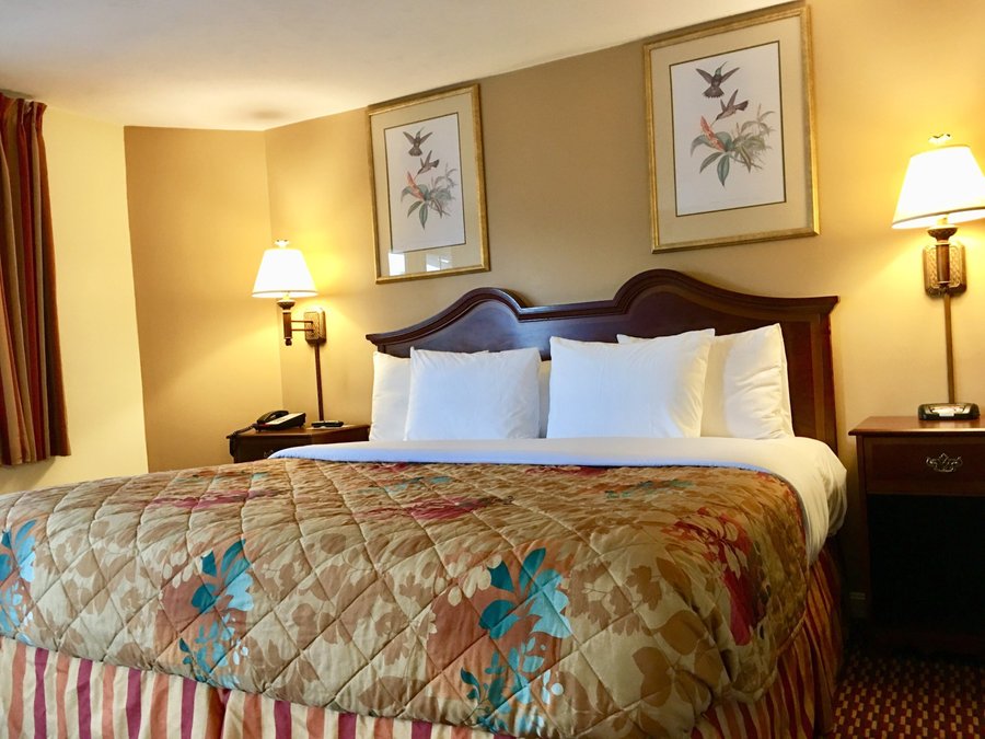 SCOTTISH INN STURBRIDGE 65 (̶7̶0̶) Updated 2020 Prices & Hotel