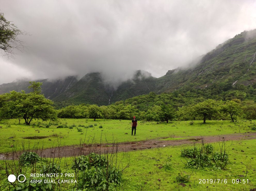 Amazon.co.jp: Flora of Semi-Arid Region: Special Reference to Karjat Tehsil  of Ahmednagar District, Maharashtra, India : Patil-Toradmal, Pragati,  Toradmal, Agastirishi, Patil, Vilas: Foreign Language Books