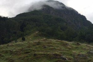 Utsikt fra rom