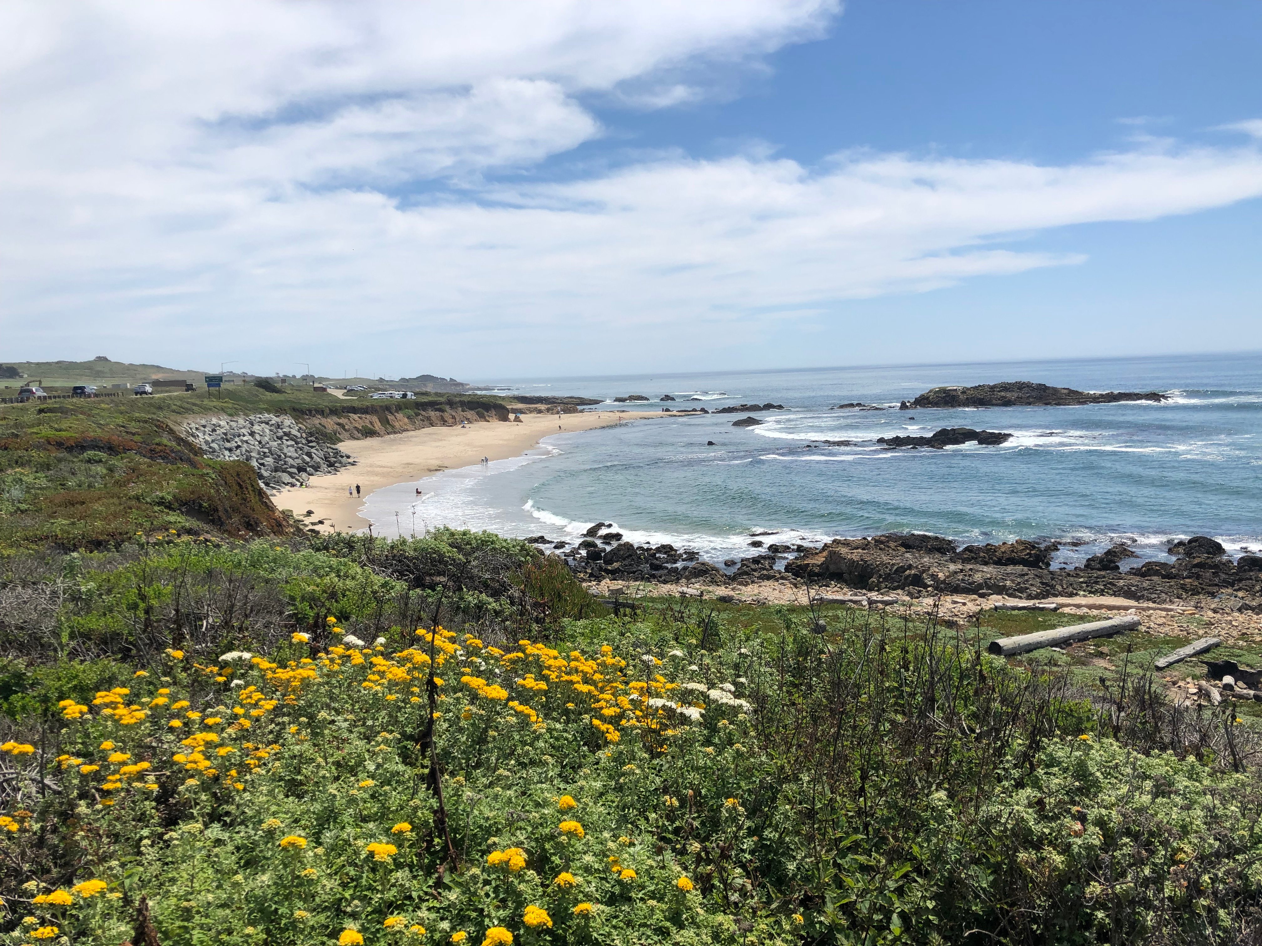 Pescadero State Beach Everything to Know BEFORE You Go with Photos