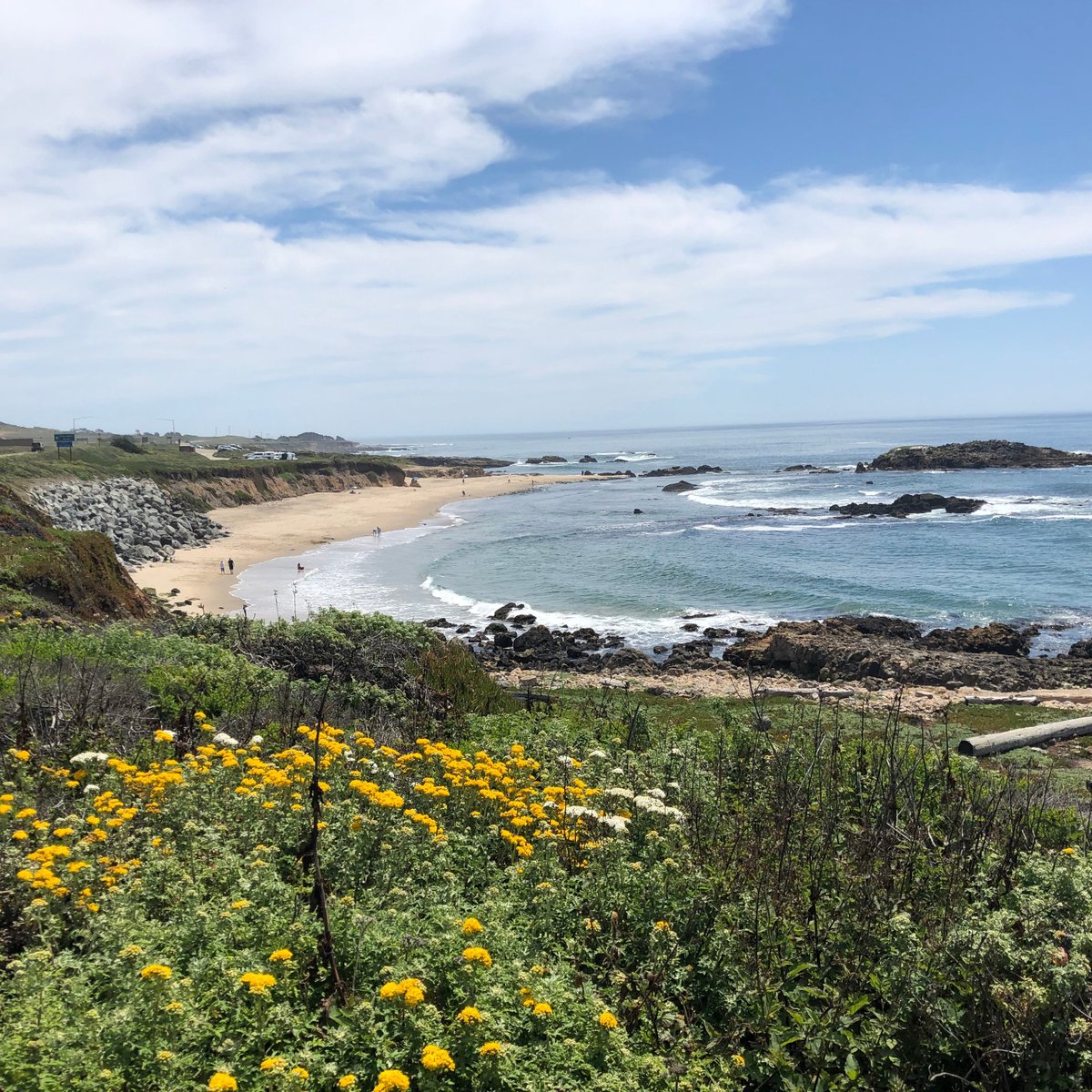 Хаф мун. Half Moon Bay, Антигуа. Пескадеро. Хаф Мун Бэй город Калифорния. Half Moon Bay State Beach